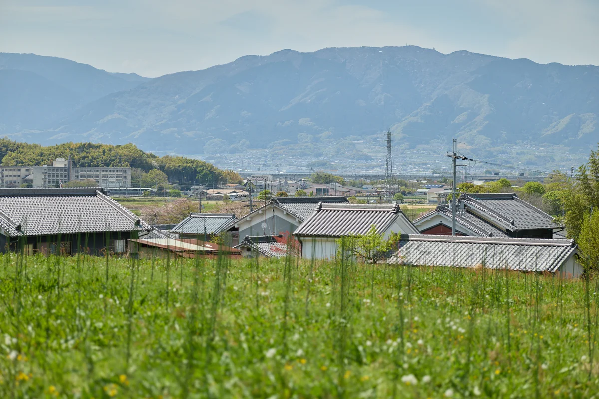 橿原のブドウ畑と山々