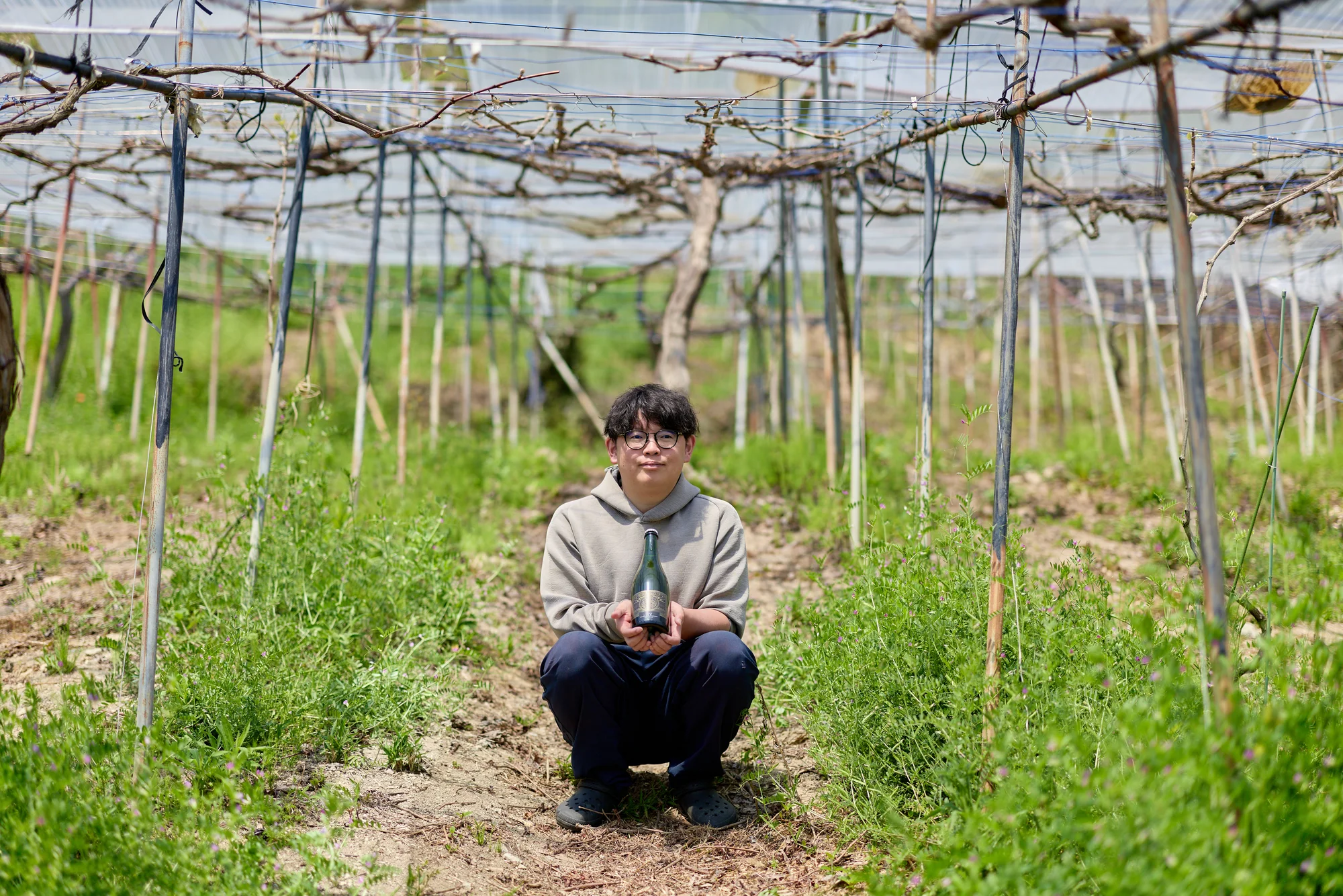 木谷ワイン・木谷一登さん