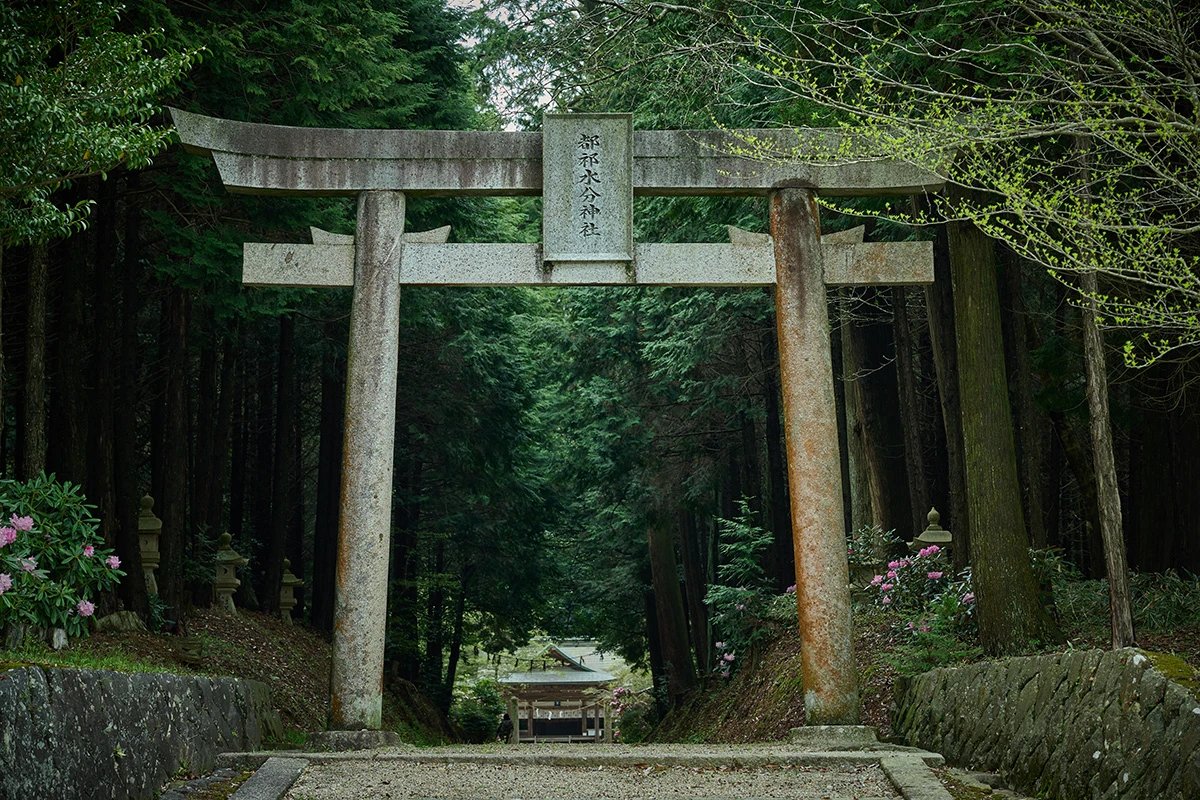 倉本酒造から約5km、都祁友田町の水の神、都祁水分神社(つげみくまりじんじゃ)