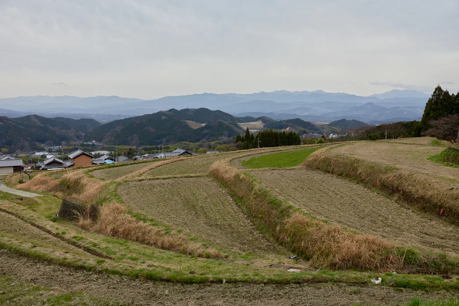「山麓蔵」の前の棚田。すぐ近くに風の森峠、遠方に吉野の山並みが連なる