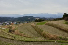 「山麓蔵」の前の棚田。すぐ近くに風の森峠、遠方に吉野の山並みが連なる