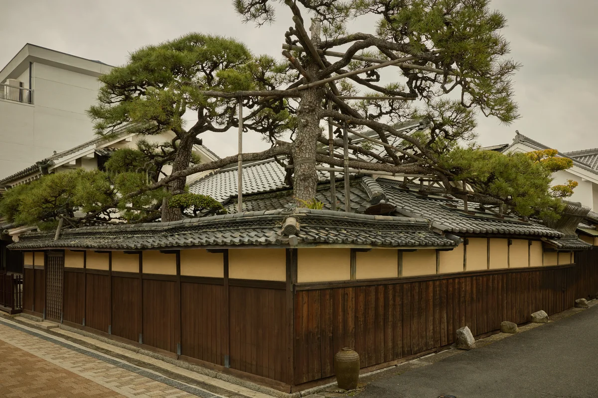 油長酒造の敷地には趣のある住居、右奥には江戸時代の建物「享保蔵」が隣接する