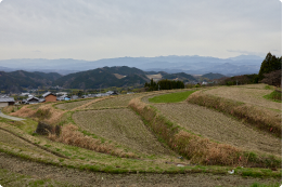 奈良の町並み